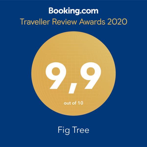 波维尔亚Fig Tree公寓 外观 照片